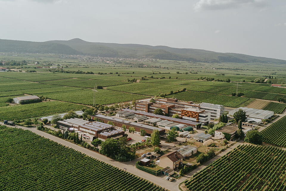 Vue aérienne du site du Wine Campus Neustadt et du Centre de services pour l'espace rural (DLR) Palatinat du Rhin