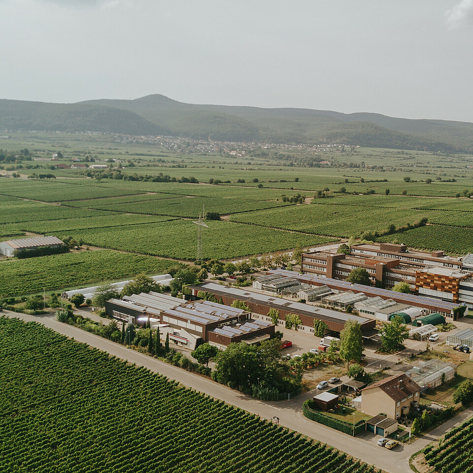 Aerial view of the Wine Campus Neustadt site and the Rural Area Service Center (DLR) Rheinish Palatinate